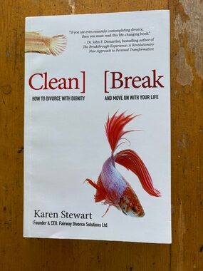 Clean Break